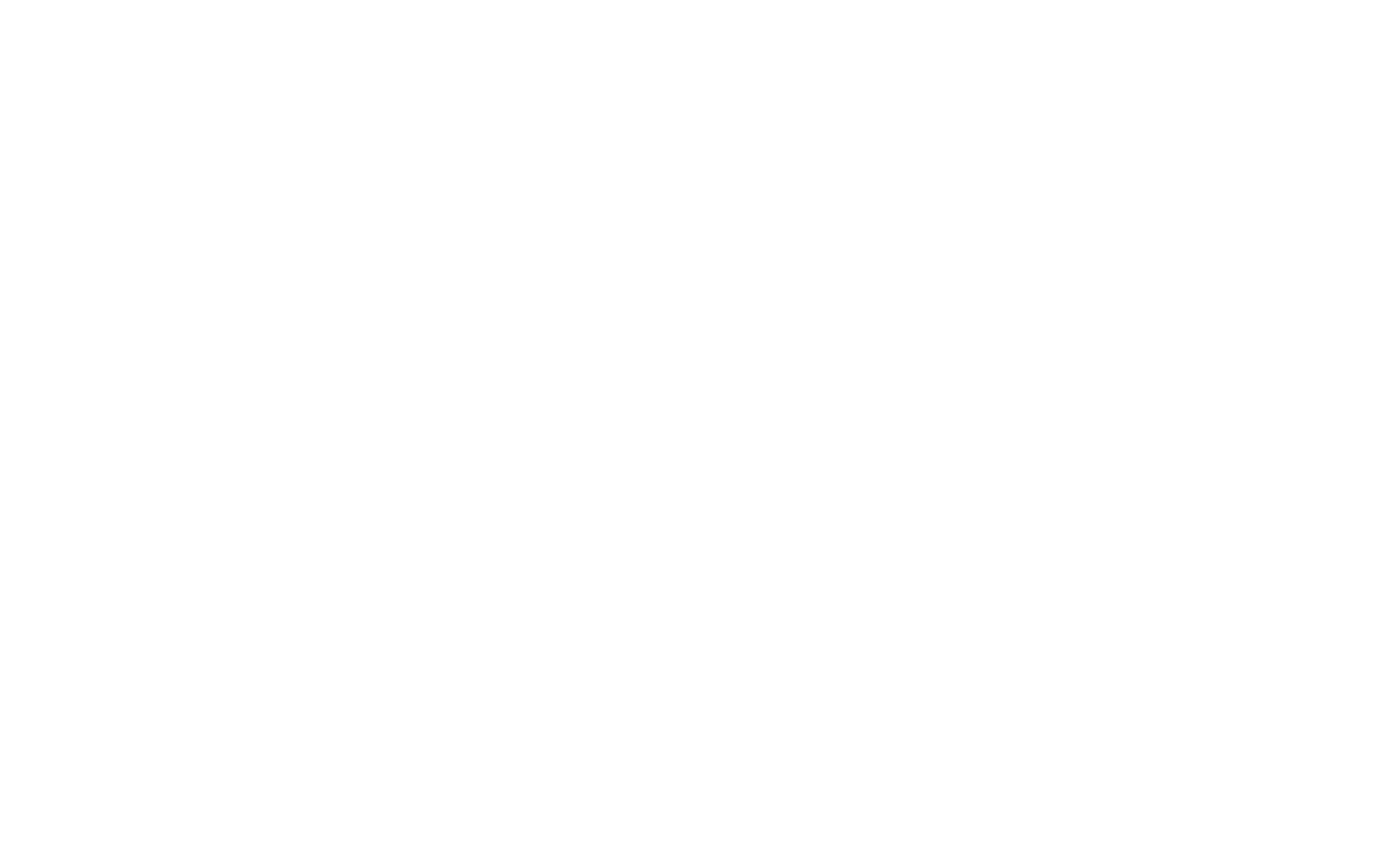AI NEO Logo